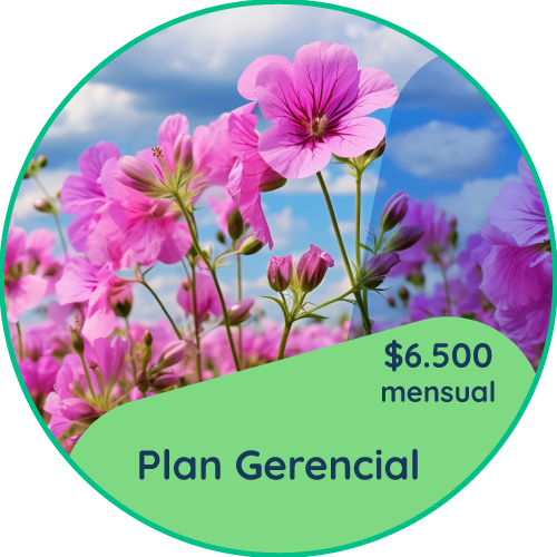 gerencial.png