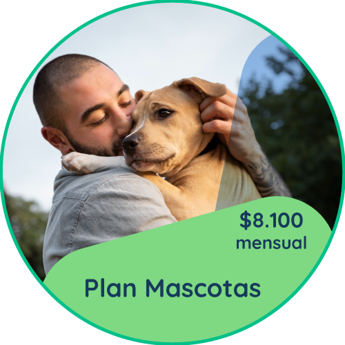 mascotas.png
