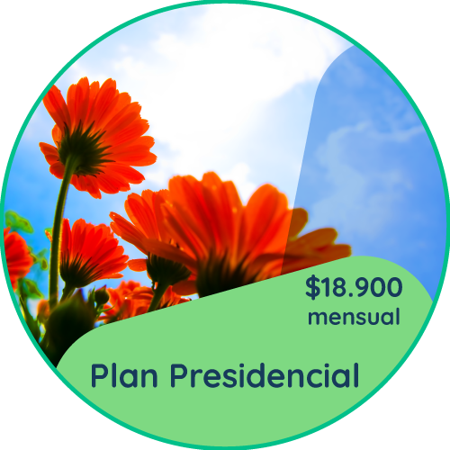 presidencial.png